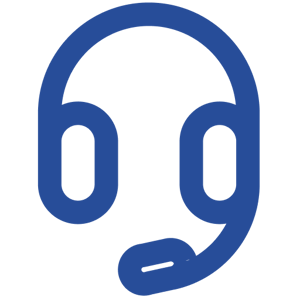 professional services